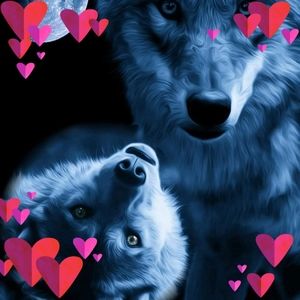 Meet your Posher, Sabrena